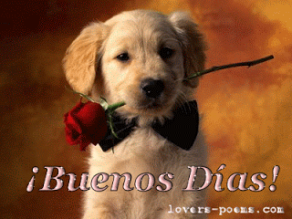 Imagenes de buenos dias con movimientos Imagenes de buenos dias con movimientos