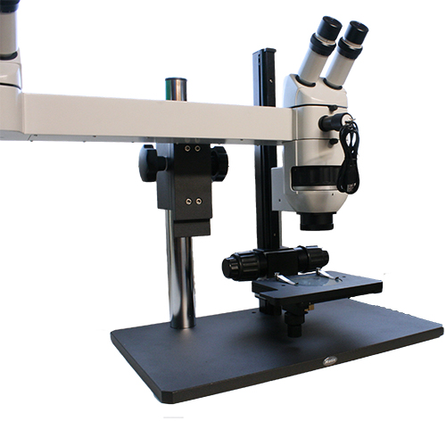 Microscope World Blog Dual Observer Stereo Teaching Microscope