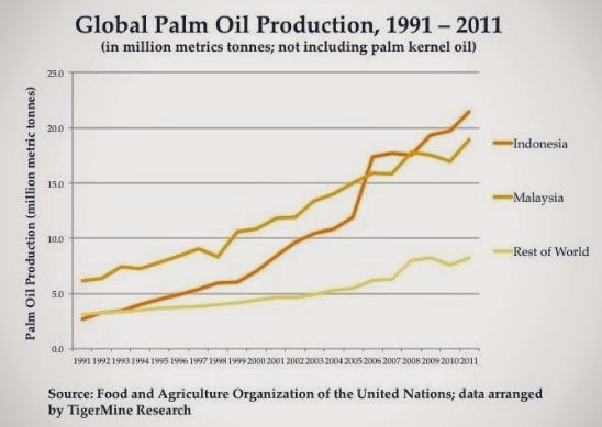 GLOBE@TAMK: The palm oil industry of Indonesia