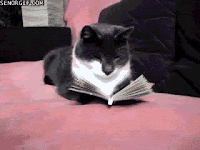 Resultado de imagem para gif lendo rápido