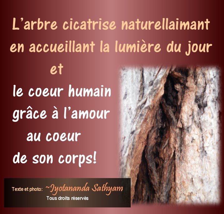 Desseins Humains D Essence Divine Cicatriser Synonyme De