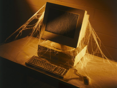 Image result for cobwebs on screen