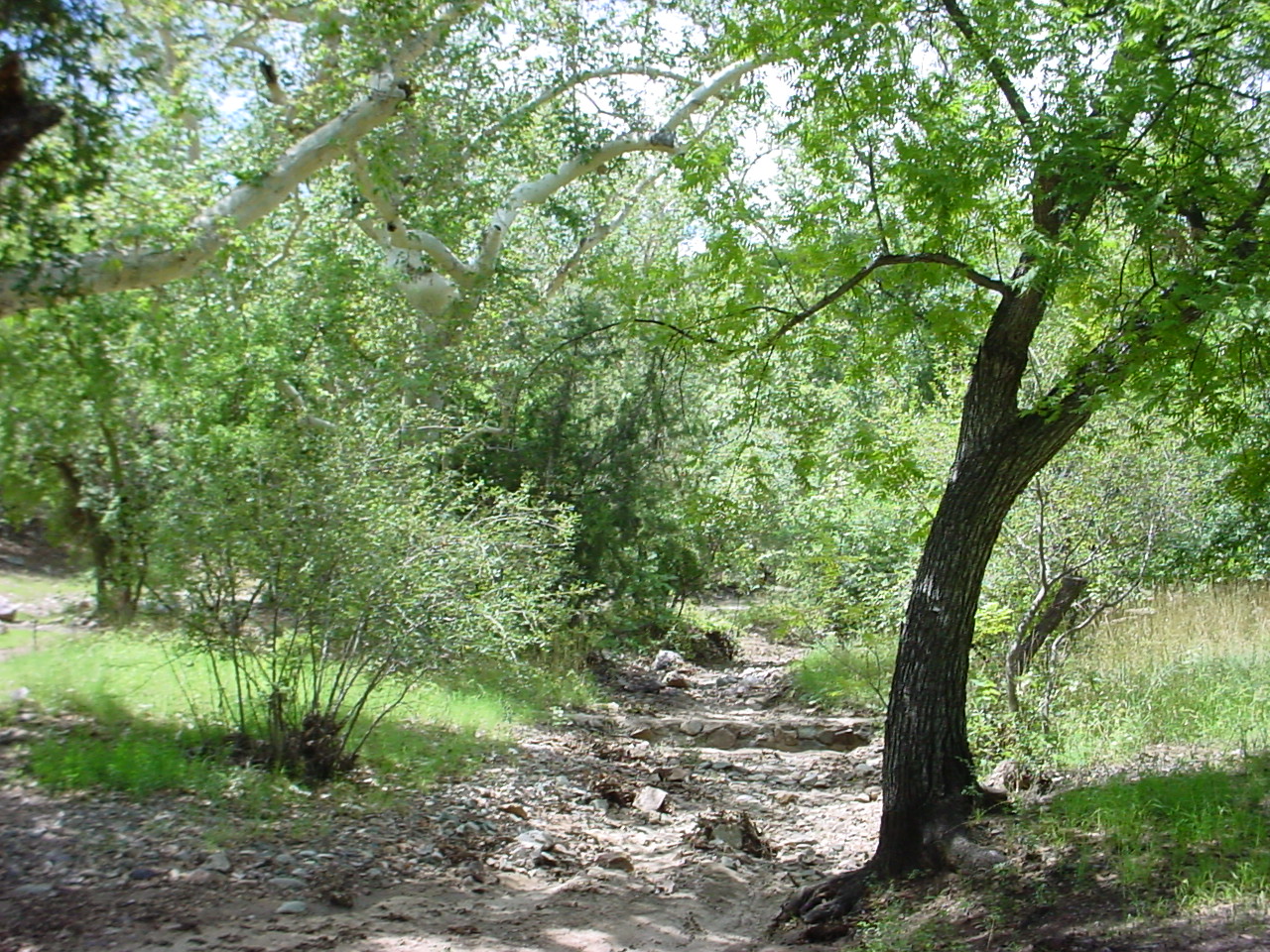 Peppersauce Campground and Canyon