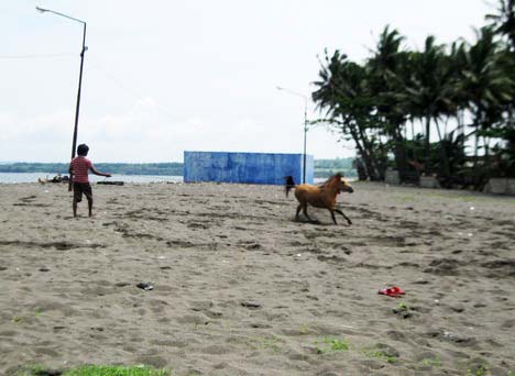 pantai saliper ate sumbawa besar