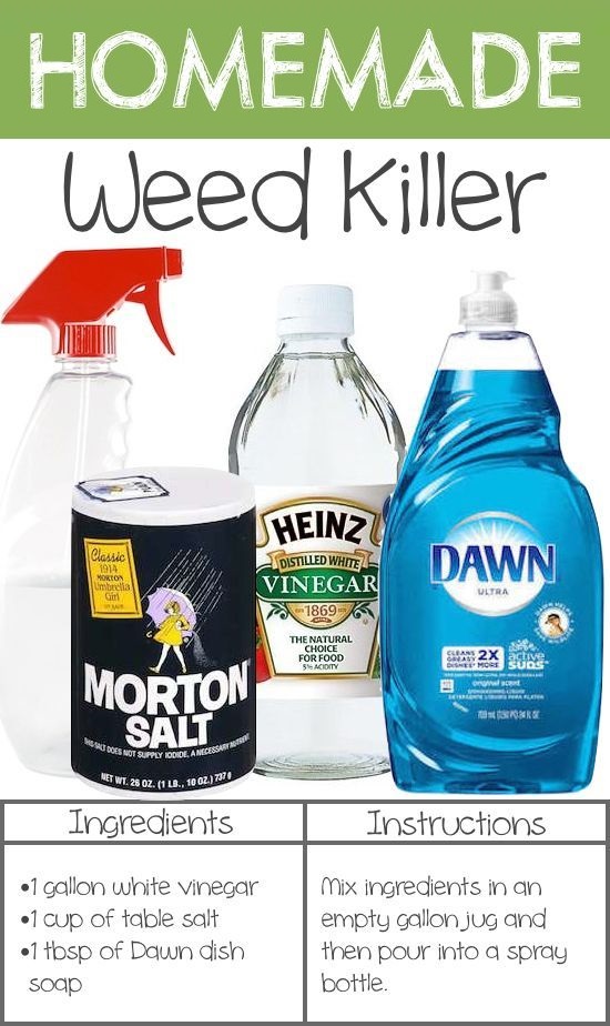 The Best Homemade Weed Killer Organic Gardening