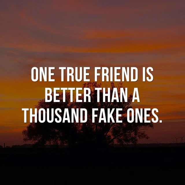 One true friend is better than a thousand fake ones. - Inspirational Messages