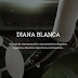 ESTRENAMOS DISEÑO WEB