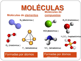 molécula (entra en prueba del 5/6)