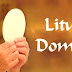Evangelho de Domingo dia 24 de fevereiro de 2019