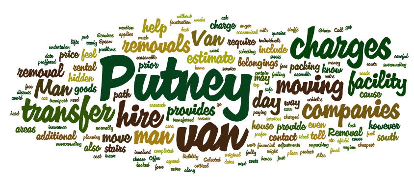 Man an Van Putney Removal company