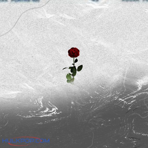 Wasp – Over Story – Single