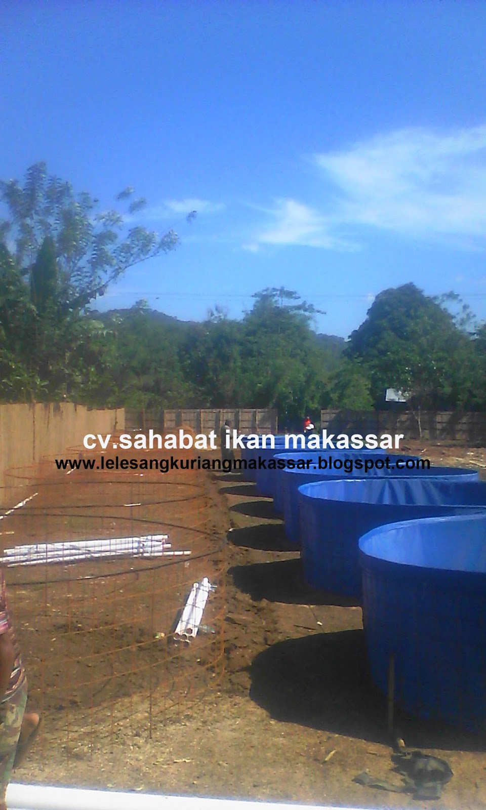 Penyedia Benih Ikan Air Tawar Makassar: Penyedia Kolam ...