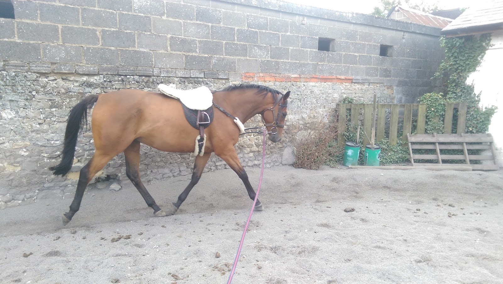 Simon Earle Racing August 2015