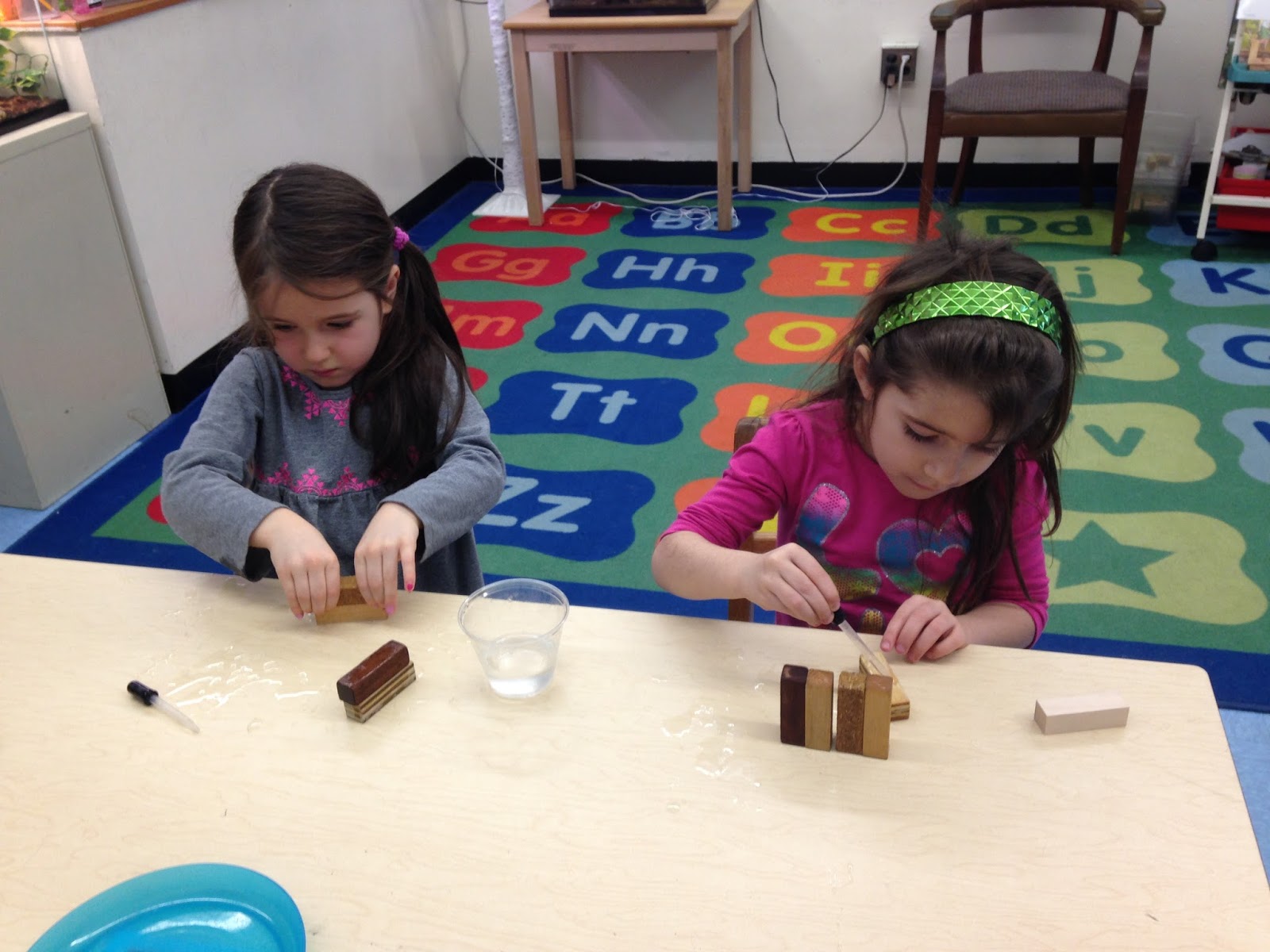 What's Happening in Lower Science? What Happens to Wood When it Gets Wet?