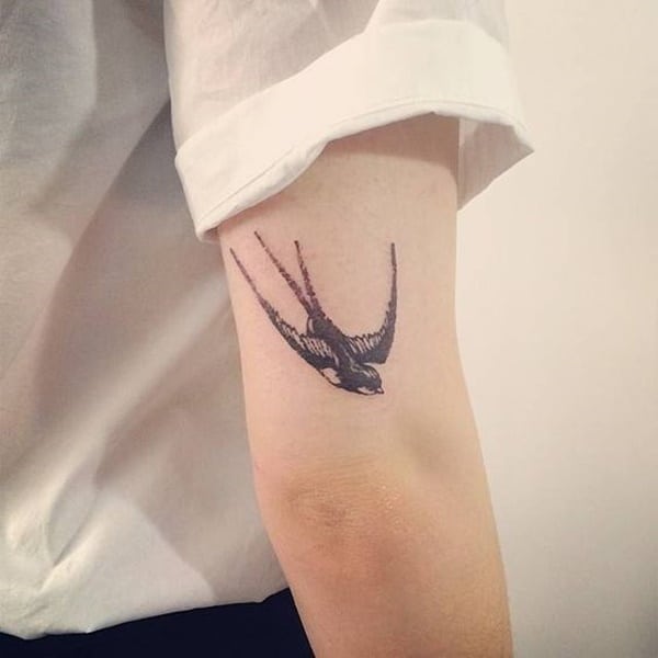 tatuagens de andorinhas para as mulheres tatuagens de andorinhas para as mulheres