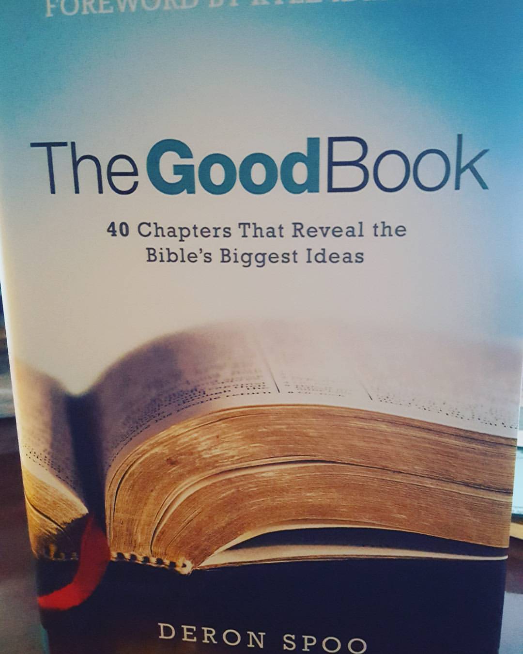 'The Good Book' Takes a Birdseye View of the Bible