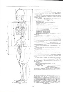 anatomie artistica gheorghe ghitescu