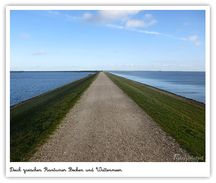 Papiergemetzel Sylt Bilder Sagen Mehr Als Worte