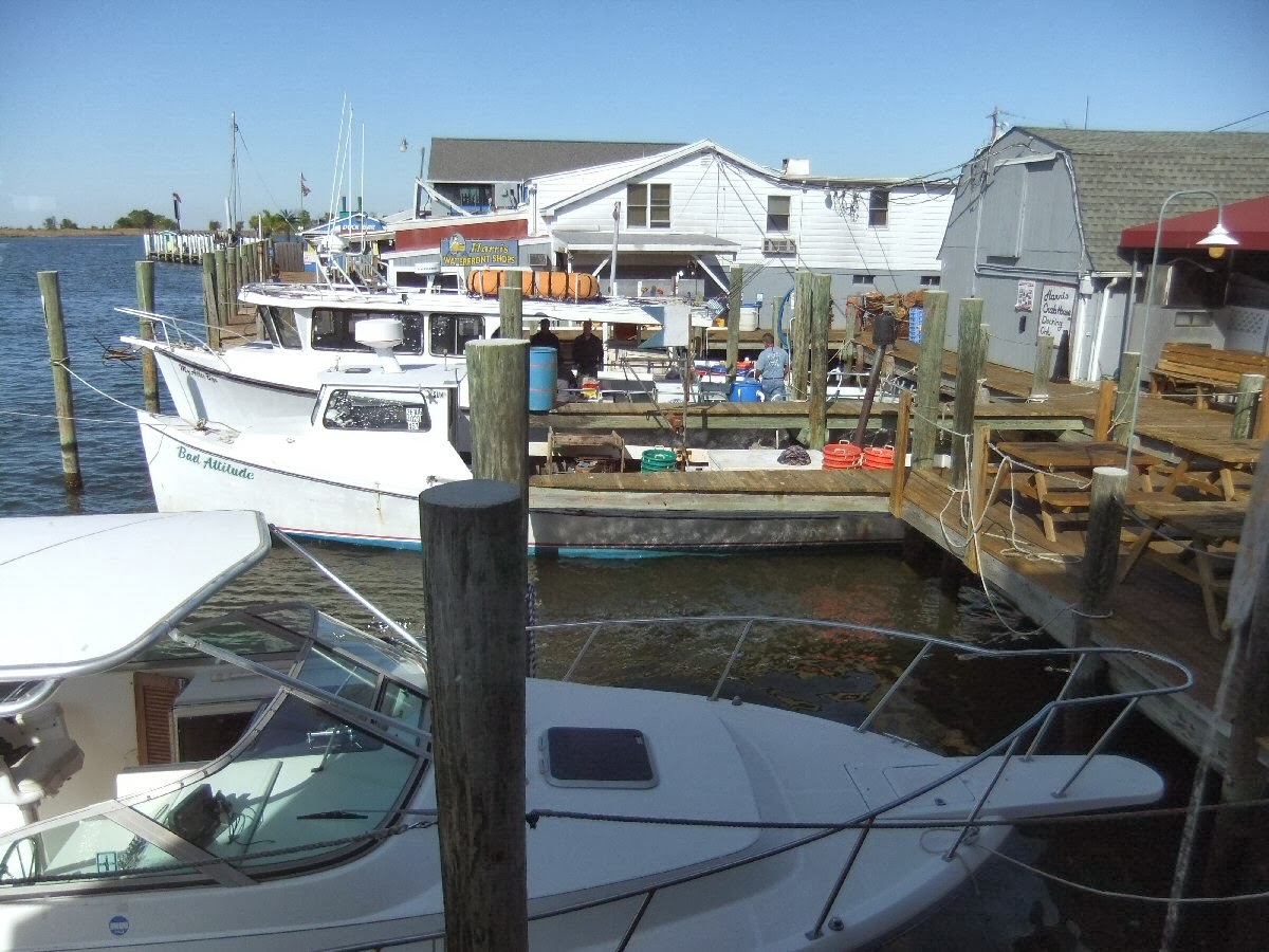 Pauline Persing Art, Writing,& Natural History Harris Crab House at