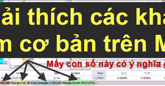 Arti margin level dalam forex