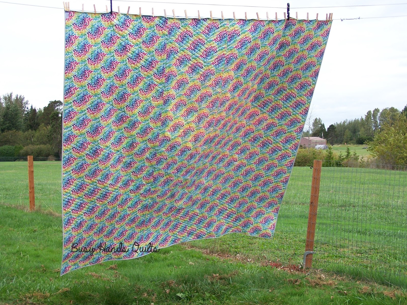 Busy Hands Quilts GRAVITY Quilt Along {Finished Quilts!}