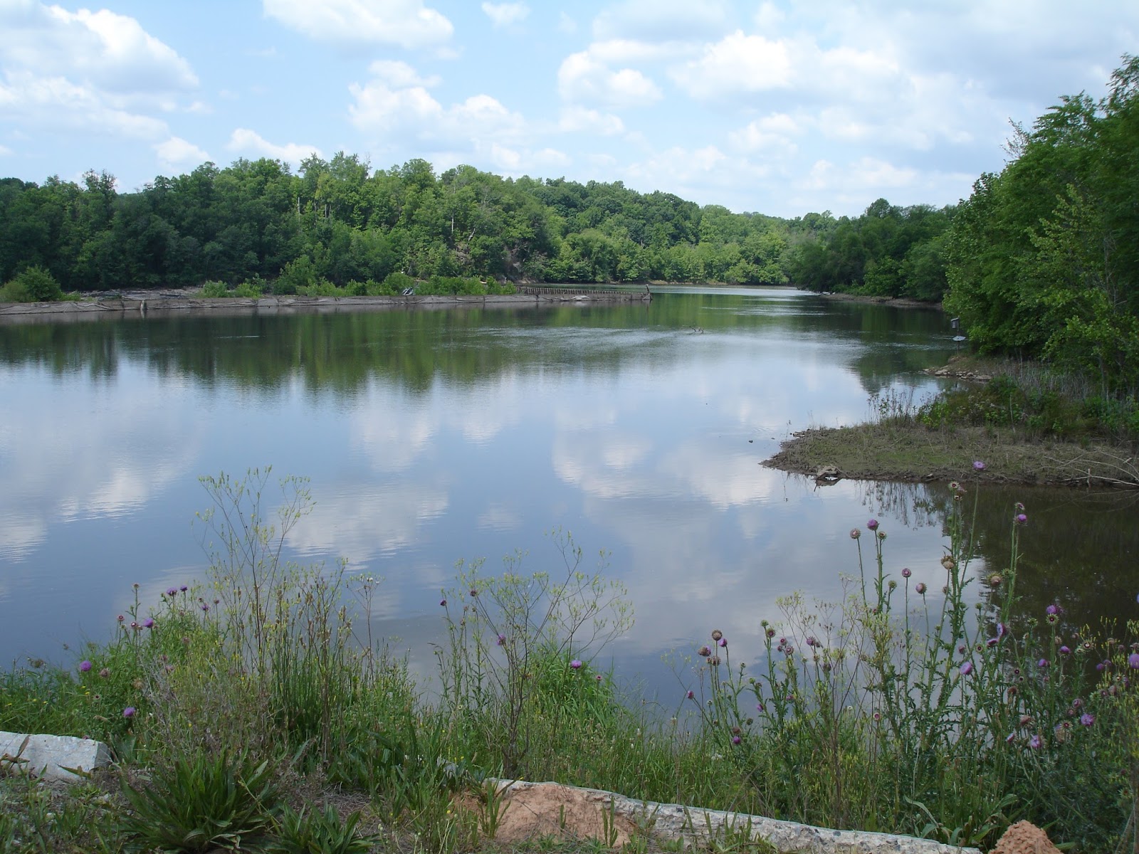 Alice's Silver Years Booger Jim, Cherokee Falls, SC A True Story (As