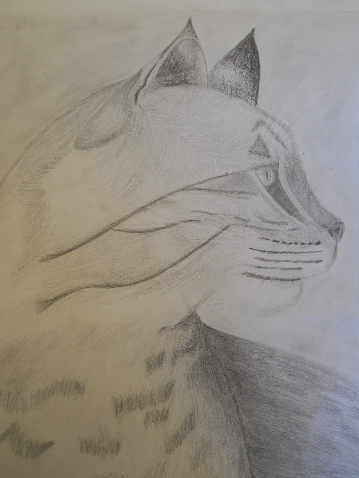Creative Expressions Wild Animal Drawings in Pencil and Previews