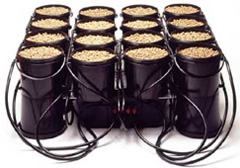 Setting Up A Marijuana Grow Room In Colorado Setting Up A Marijuana Grow Room In Colorado