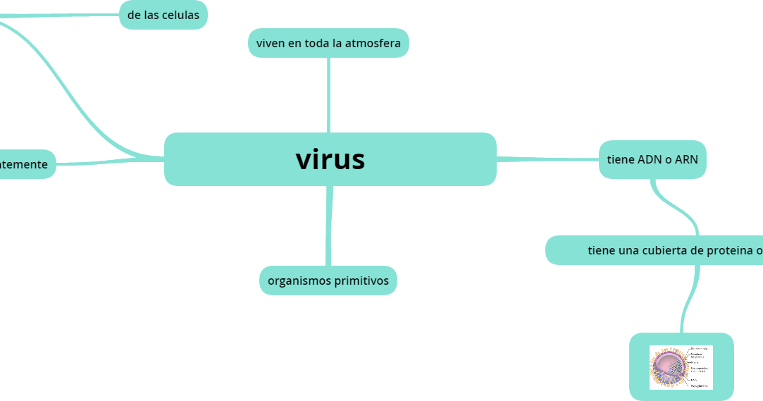 Mapa Conceptual Virus | Porn Sex Picture