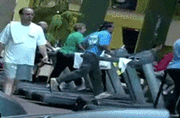 6.gif