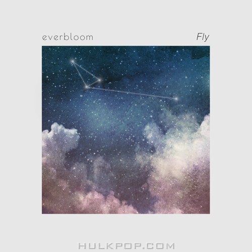everbloom – Fly – Single