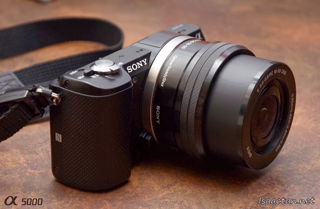 Sony Alpha 5000 Digital Camera Review