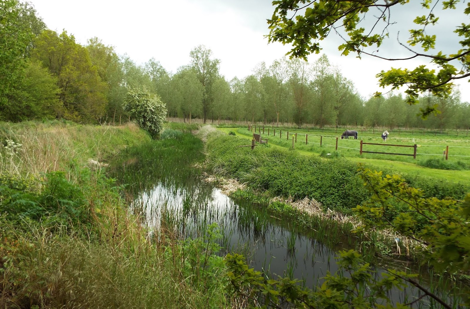 Reinterred Fornham St. Genevieve Walk