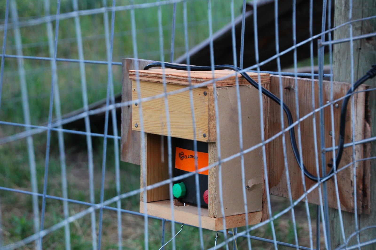 Down by the Creek Electric fencing for the pigs