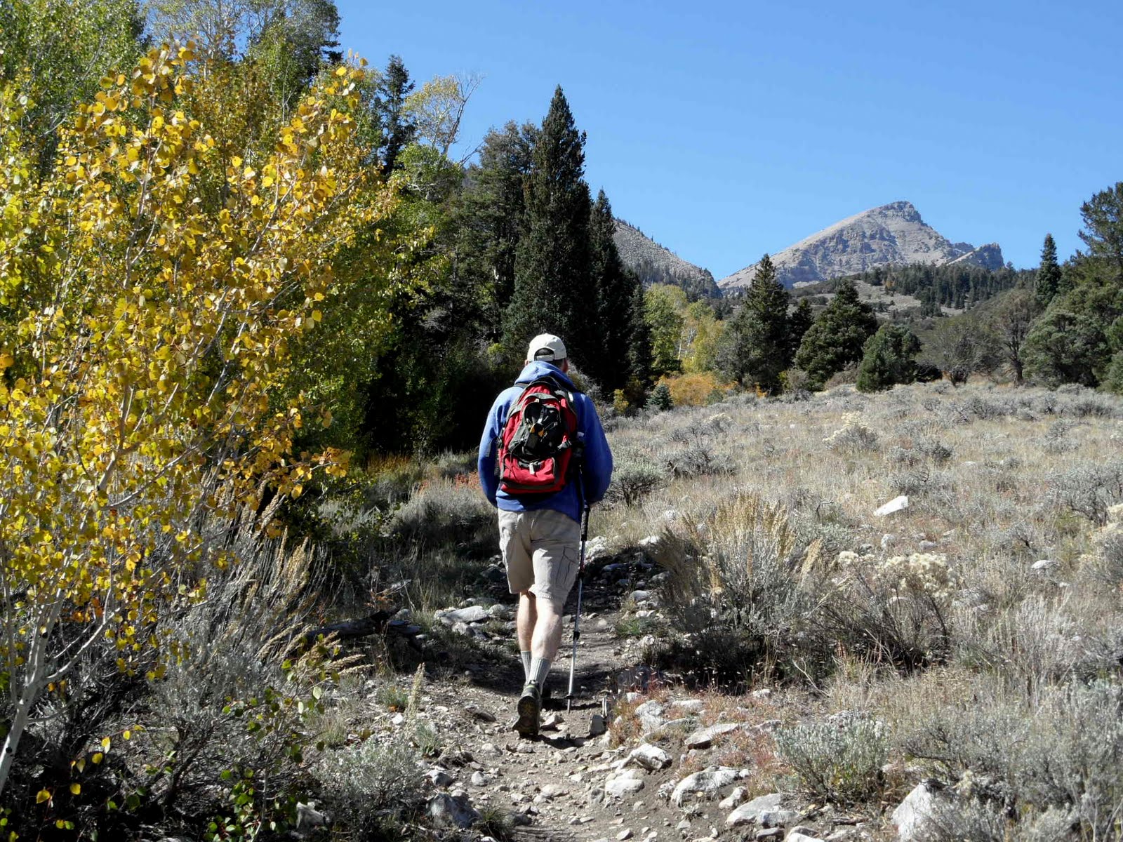 Beyond My Couch Baker Creek and Timber Creek at Great Basin National Park