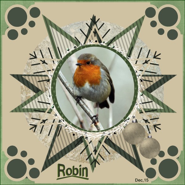 lo 2 - Dec.'15 - Robin..