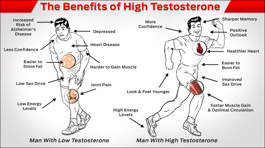 Foods That Help Raise Testosterone Levels Foods That Help Raise Testosterone Levels