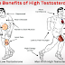 Foods That Help to Increase Testosterone Quickly and Naturally