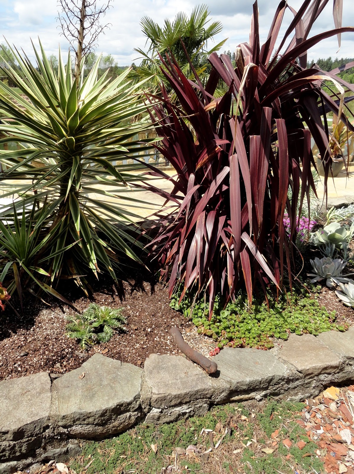 Danger garden rare plant research 2014 style 