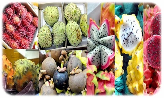 Frutas exóticas e raras no Brasil I