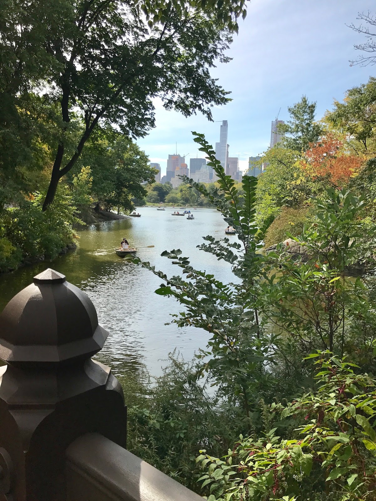 History & Design Post: Olmsted's Central Park--Today's Vantage Point
