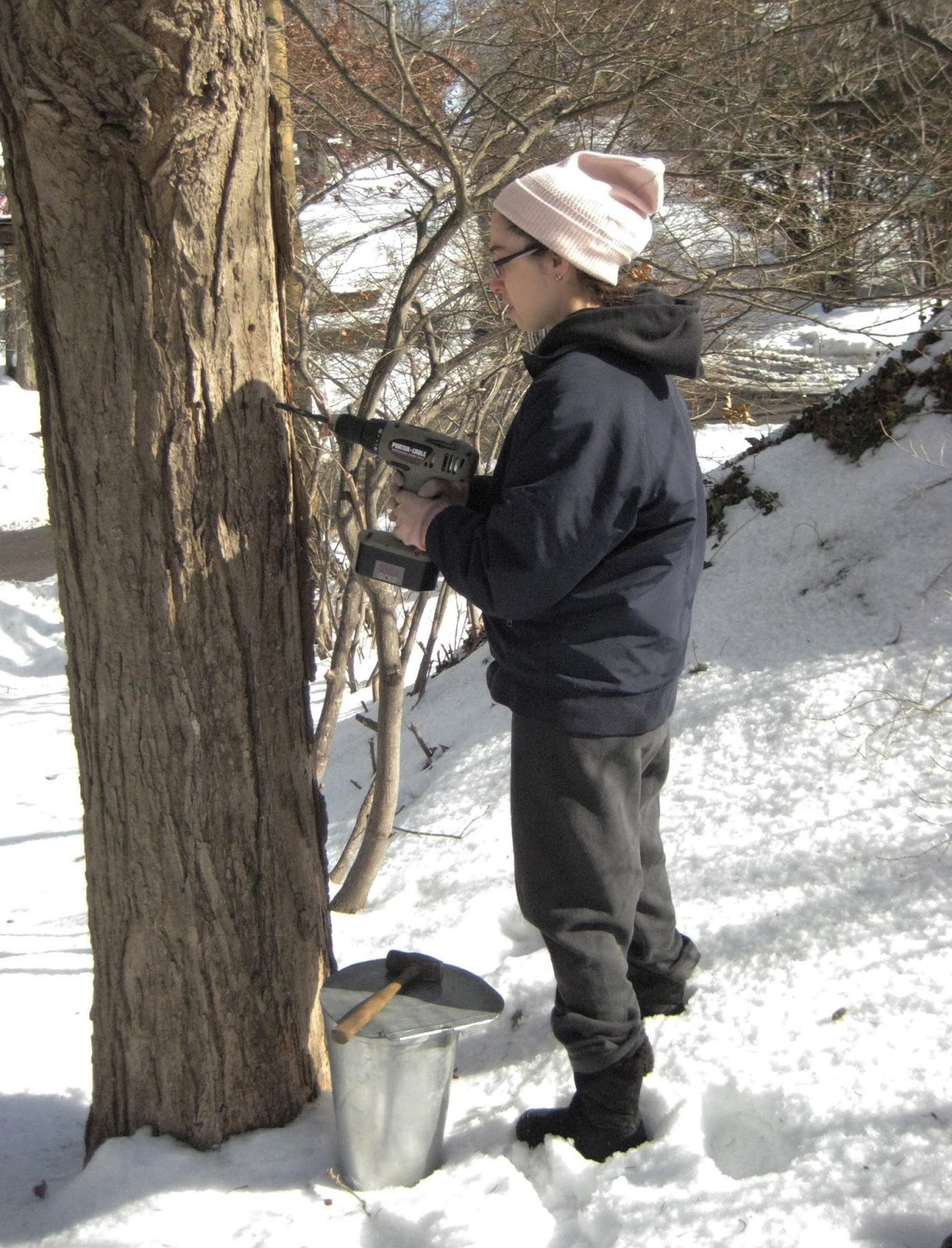 Homegrown String Band News Backyard Maple Sugaring 2017