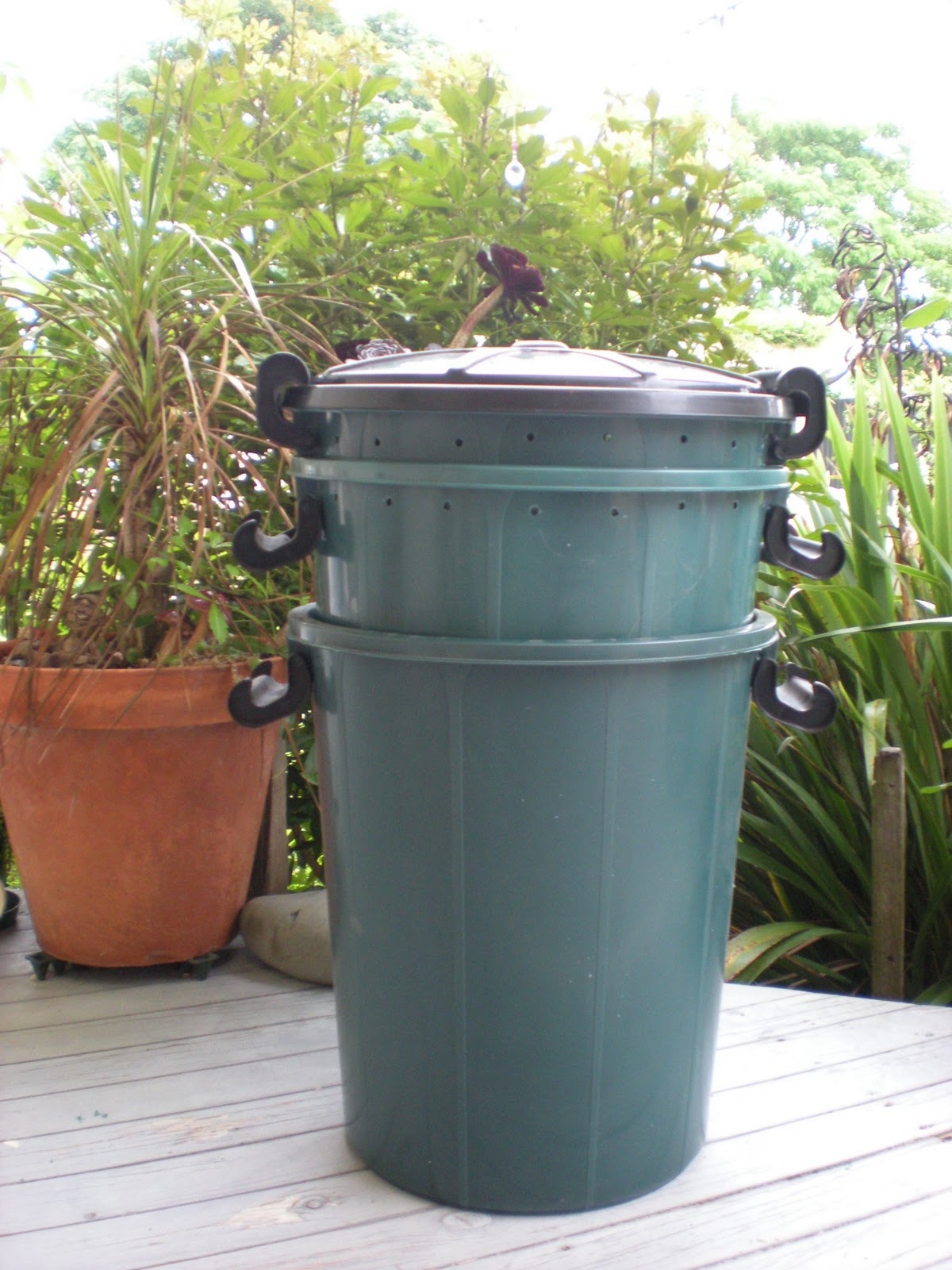 ANAHERA MOON GIRL DIY WORM BIN