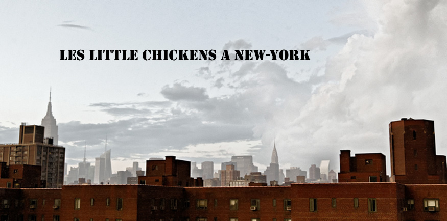Les little chickens à New-York !