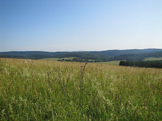 Panorama z Wahalowskiego Wierchu. Z lewej widać Kamień. Panorama z Wahalowskiego Wierchu. Z lewej widać Kamień.