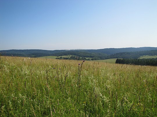 Panorama z Wahalowskiego Wierchu. Z lewej widać Kamień.