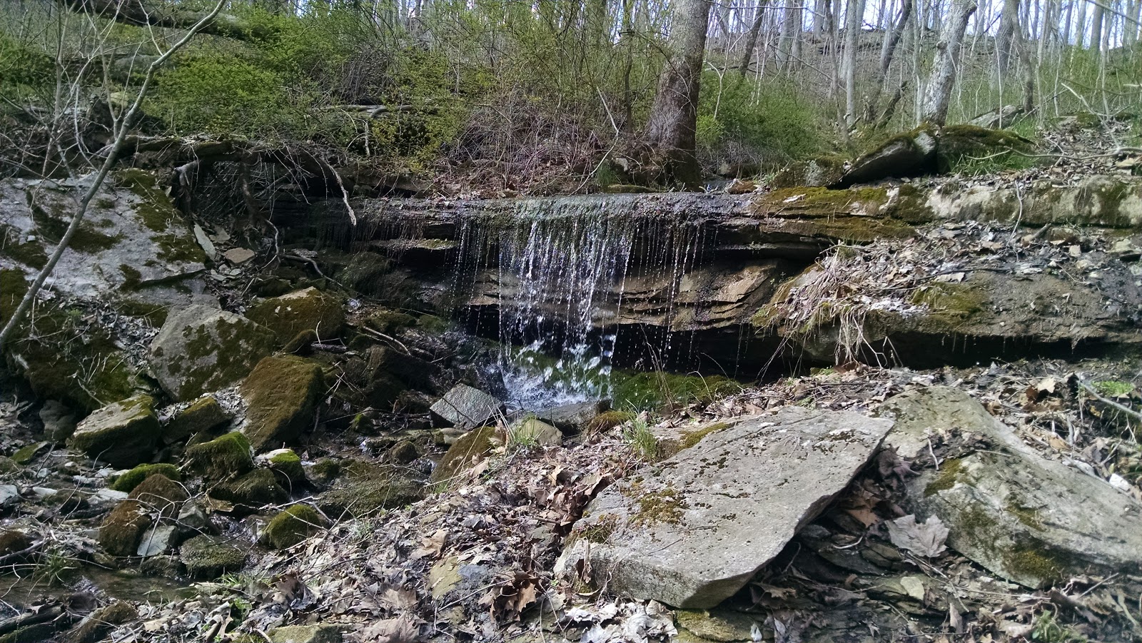 Bloomington, IN Leonard Springs Nature Park Explore This City