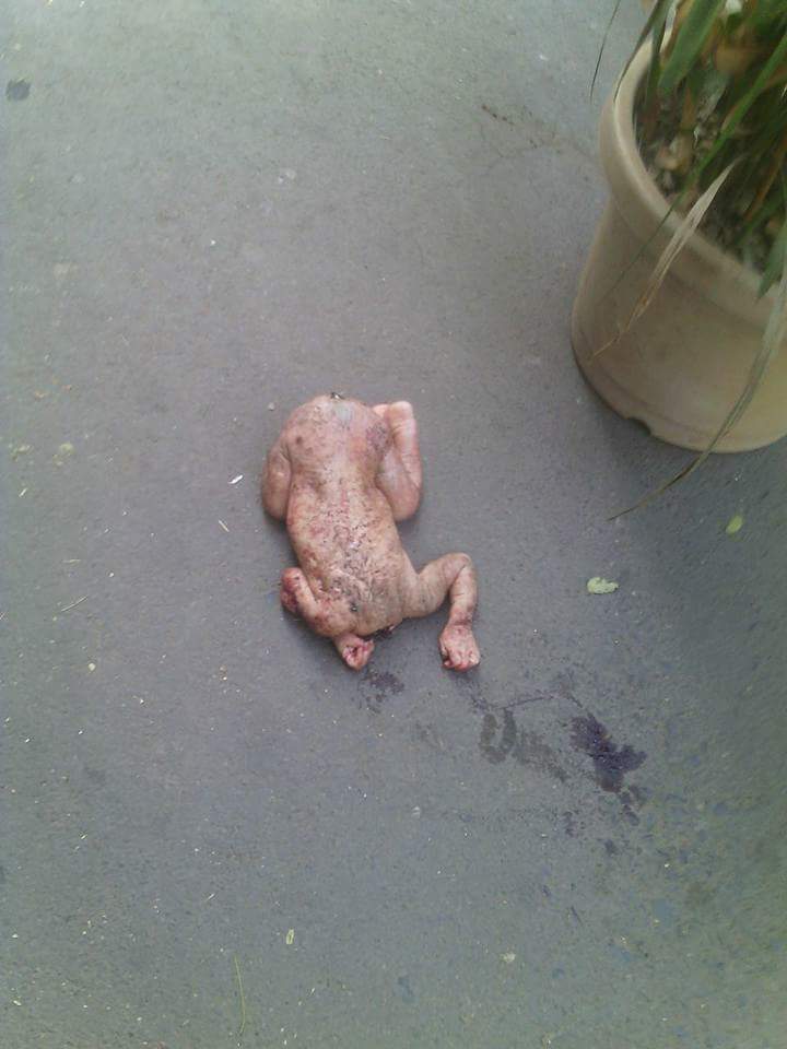 news mira bhayander found