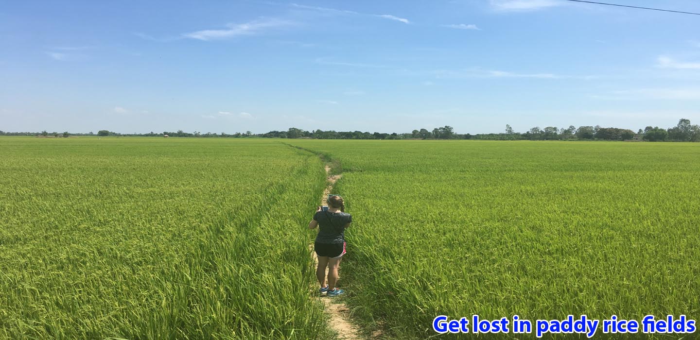 real-mekong-delta-tour-tour-Get-lost-in-paddy-rice-fields