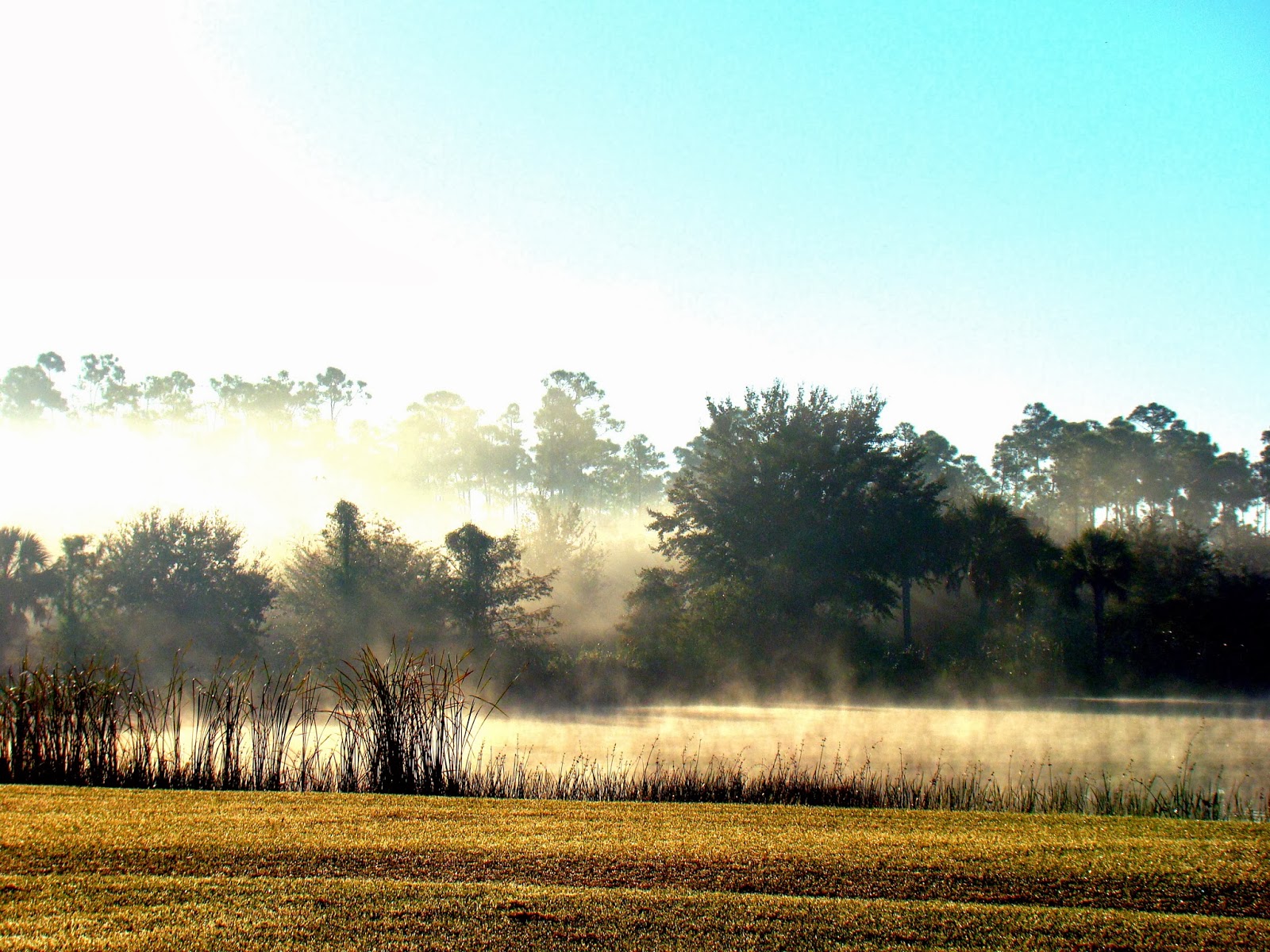 Pine Island, Florida Pine Island Real Estate Sales in 2013